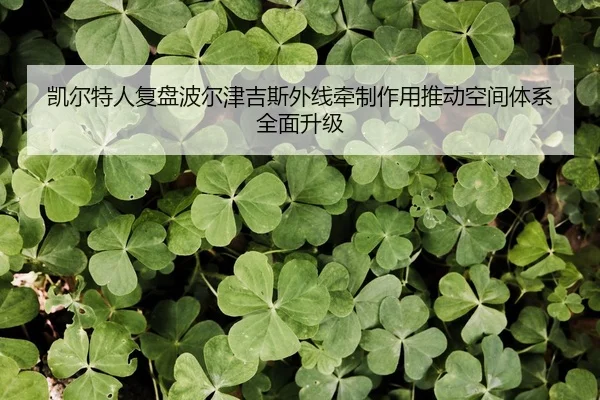 凯尔特人复盘波尔津吉斯外线牵制作用推动空间体系全面升级