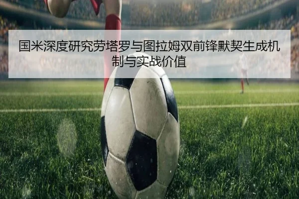 国米深度研究劳塔罗与图拉姆双前锋默契生成机制与实战价值